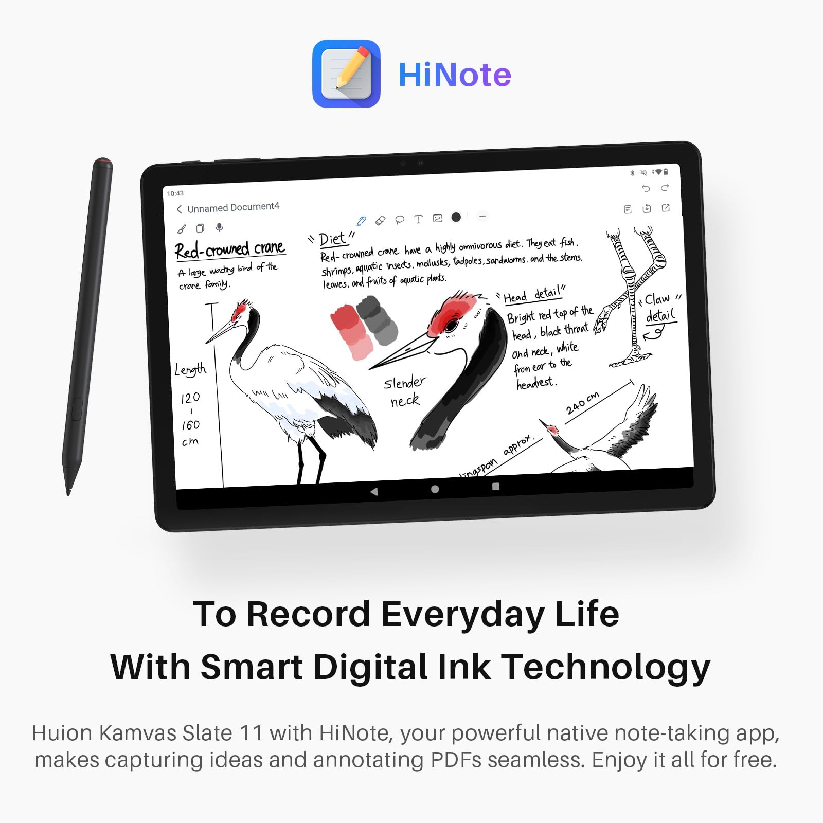 Huion Kamvas Slate 11 タブレット 10.95インチ ペン付 Kamvas Slate 11