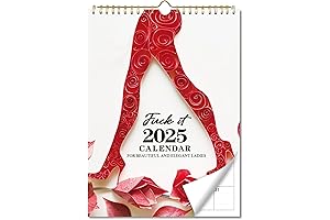 2025 Give A Fuck Calendar For Tired Moms, Easy Suspension Funny Swear Word Monthly Calendar