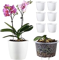 Vista 1 de Paquete de 6 macetas de riego automático de 6.7 pulgadas para jardín interior, hiedra del diablo, violeta africana, planta de araña oceánica