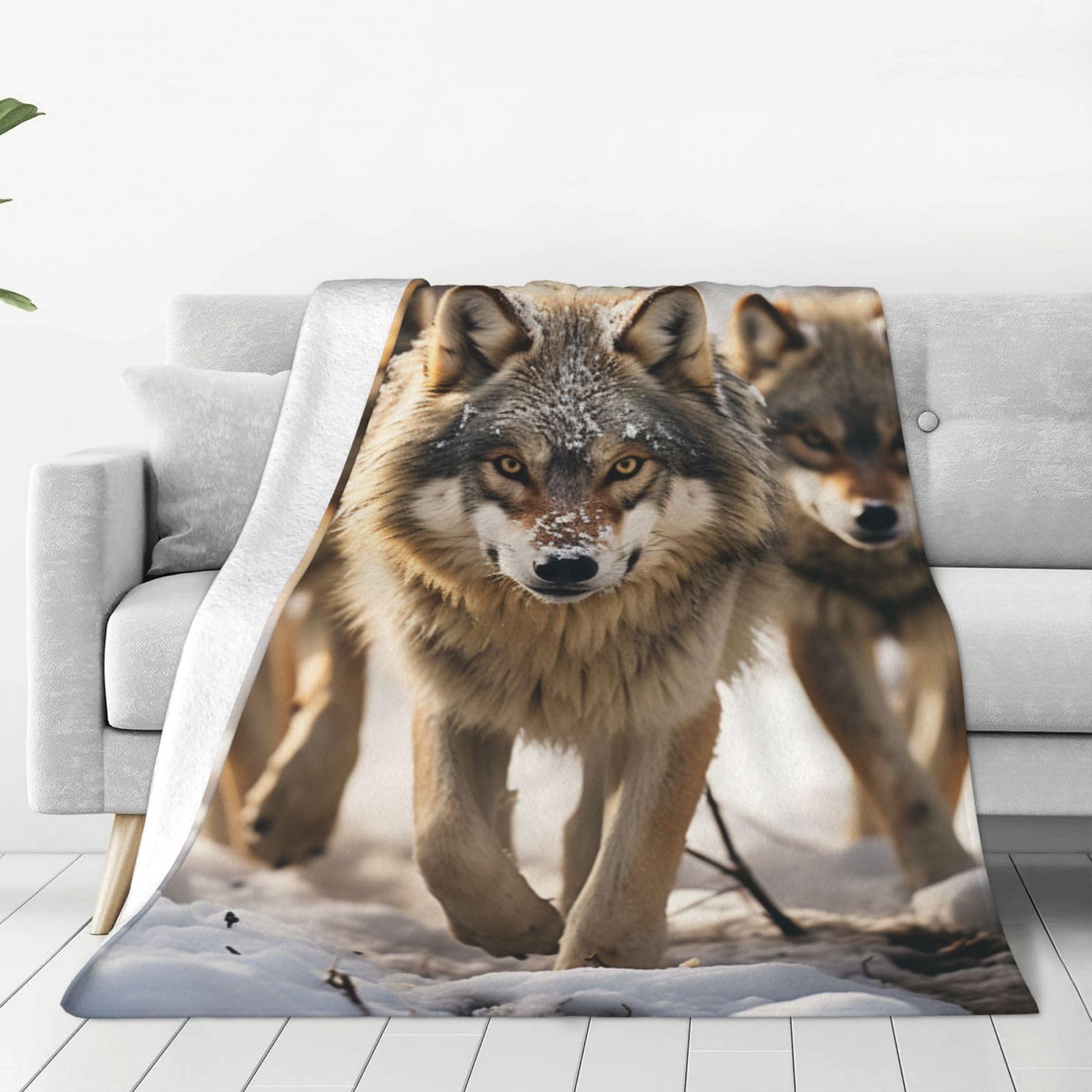 Throw Blanket for Couch Thick Soft Fleece Blankets Warm Cozy Air Conditioning Quilt All Seasons pack of wolves Blanket Lightweight Flannel Fuzzy Blankets for Bed Couch Living Room Sofa 40"x30"