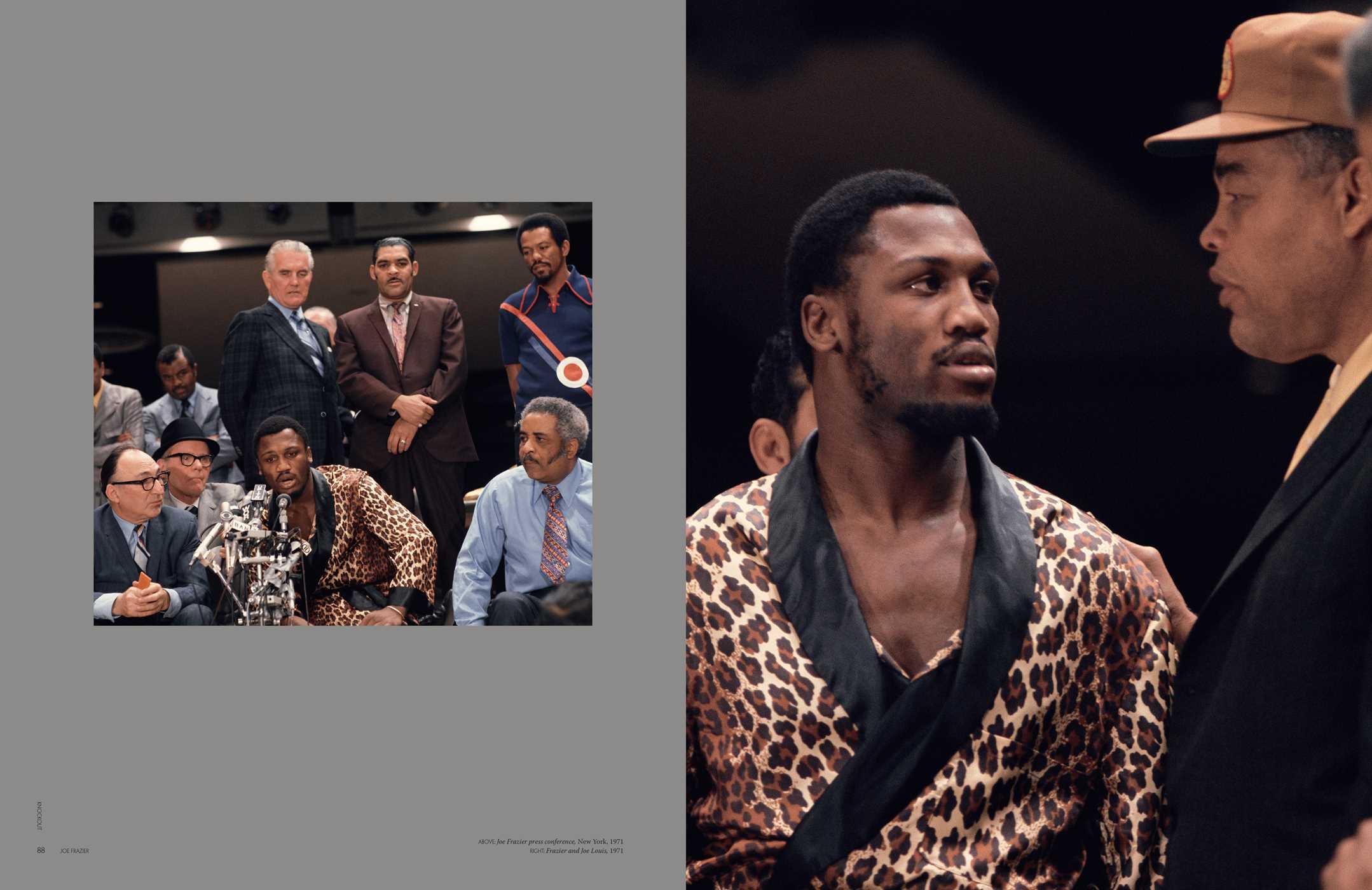 Knockout: The Art of Boxing