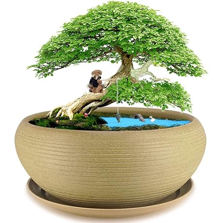 MUZHI Ceramic Bonsai Pot with Saucer - Large 10" Classic Round