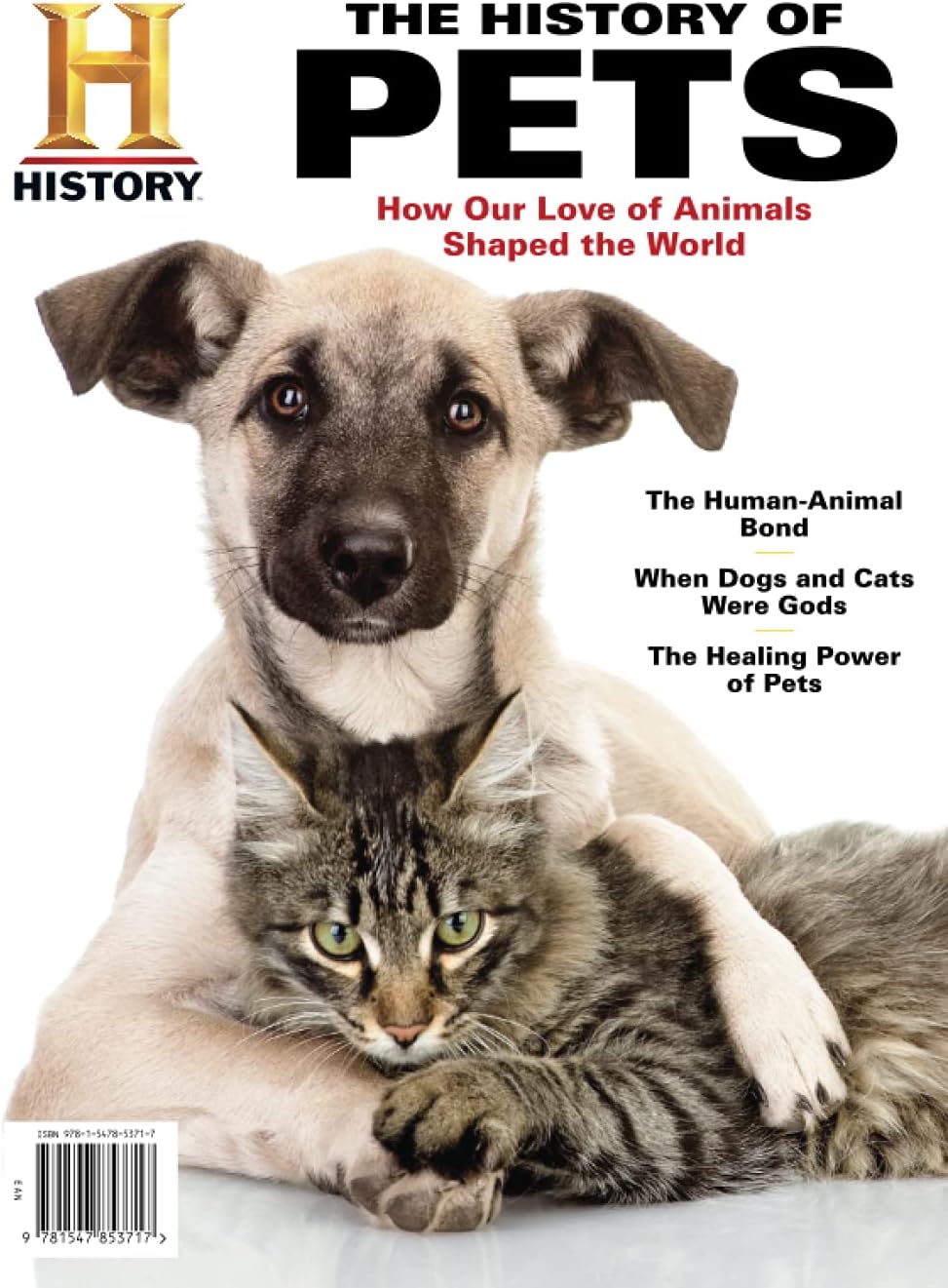 History The History of Pets Paperback – May 21, 2021
