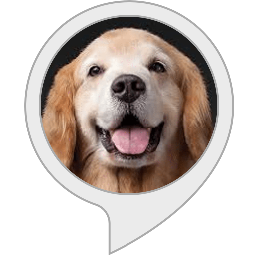 Amazon.com: Doggo Facts : Alexa Skills