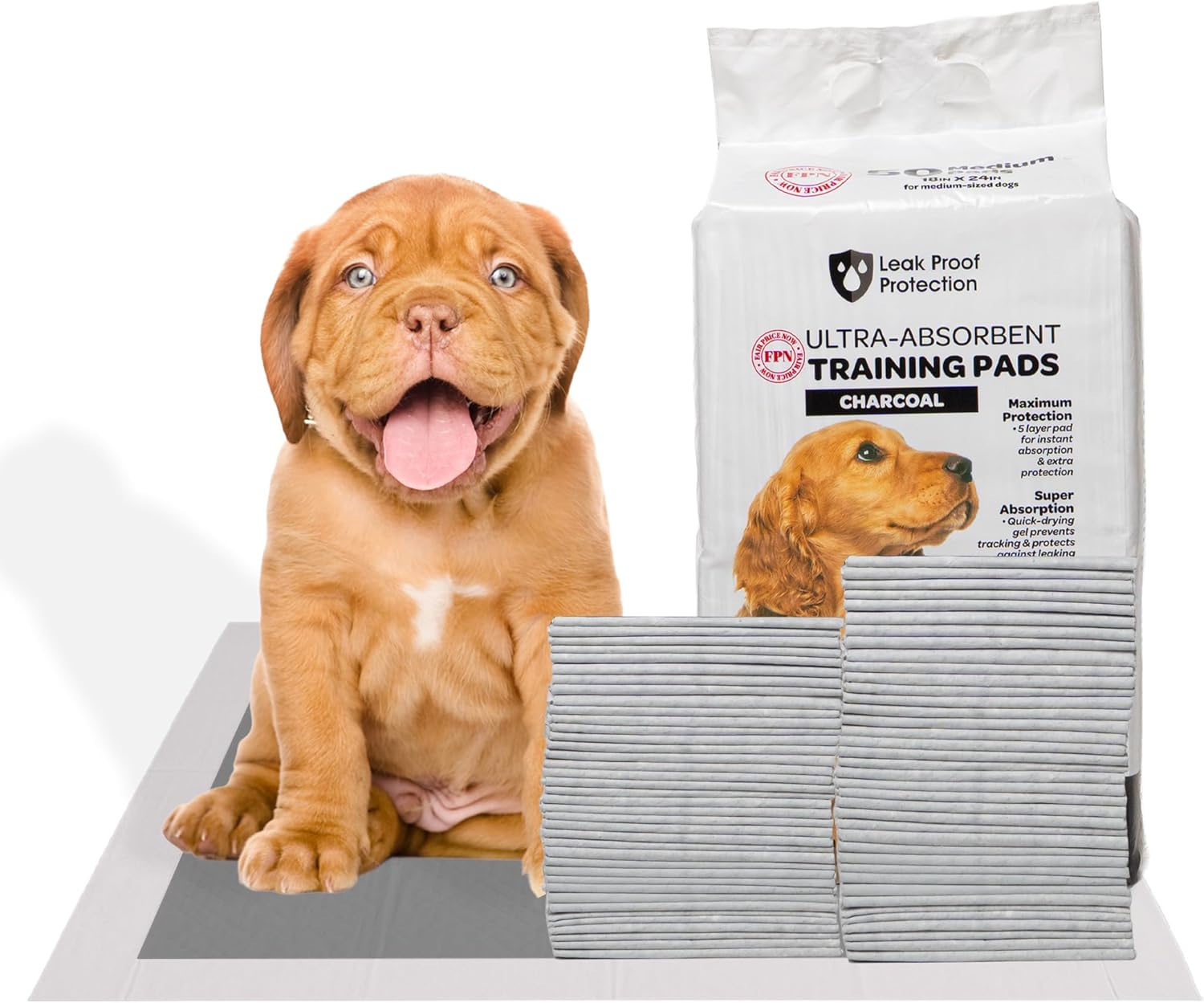 Kashmir FPN Wee Wee Pads for Dogs | Charcoal Pads for Dogs | Scented Puppy Pads | Extra Absorbent | Heavy Duty Dog Pads | 5 Layer Pads for Instant Absorption, 13x18 Inches (Small), 200