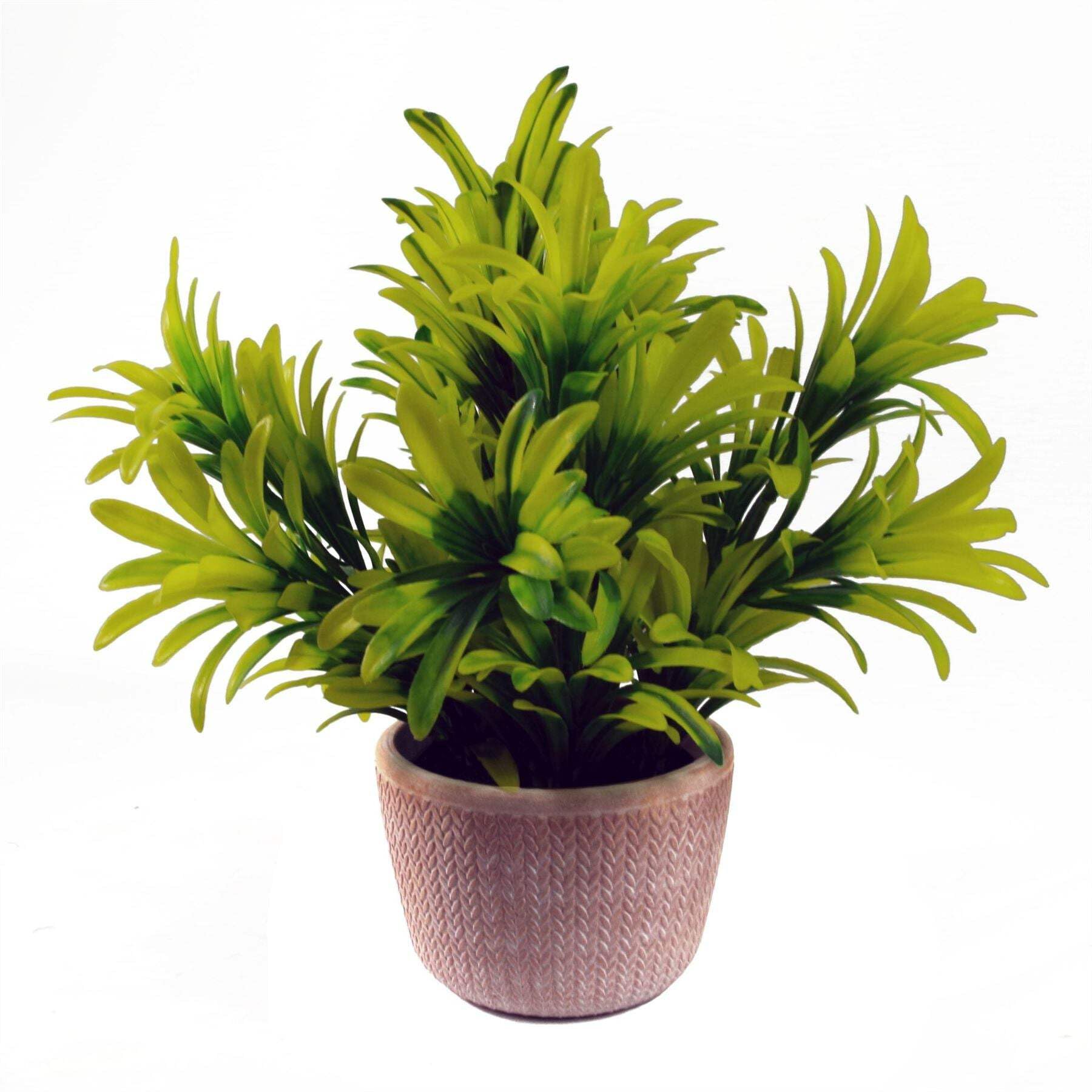 Blue Pirate Light/Green Artificial Houseplant Terracotta Pot Honey Shrub