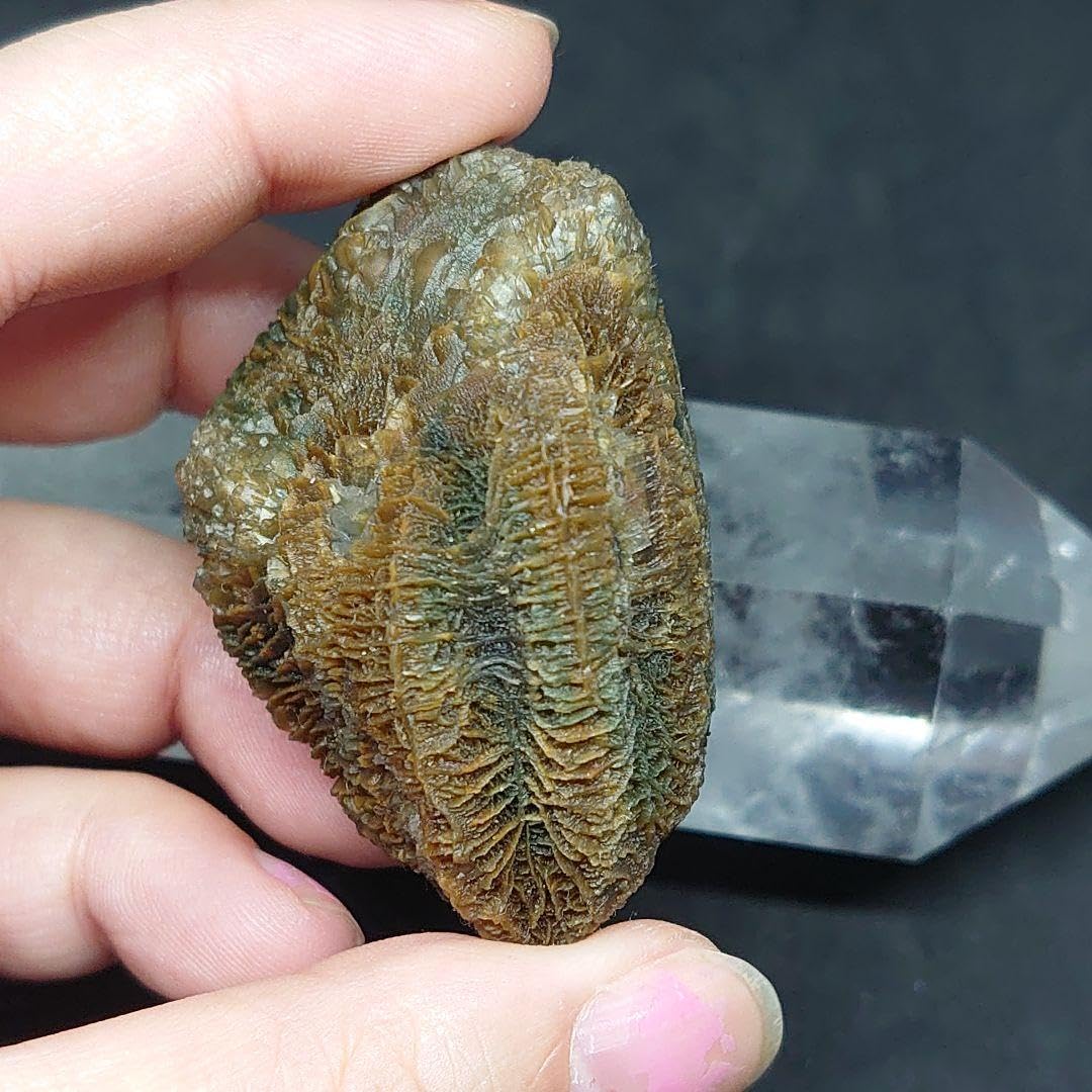 新疆ウイグル自治区 大筋脈石 原石 模様はっきり 置物 ゴビ瑪瑙 ゴビ石 希少 Amazon.co.jp: 新疆ウイグル自治区 大筋脈石 原石 模様はっきり