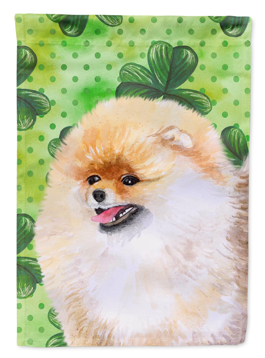 Drapeau de Poméranie BB9856GF petit format multicolore décoration extérieure chien Spitz Allemand