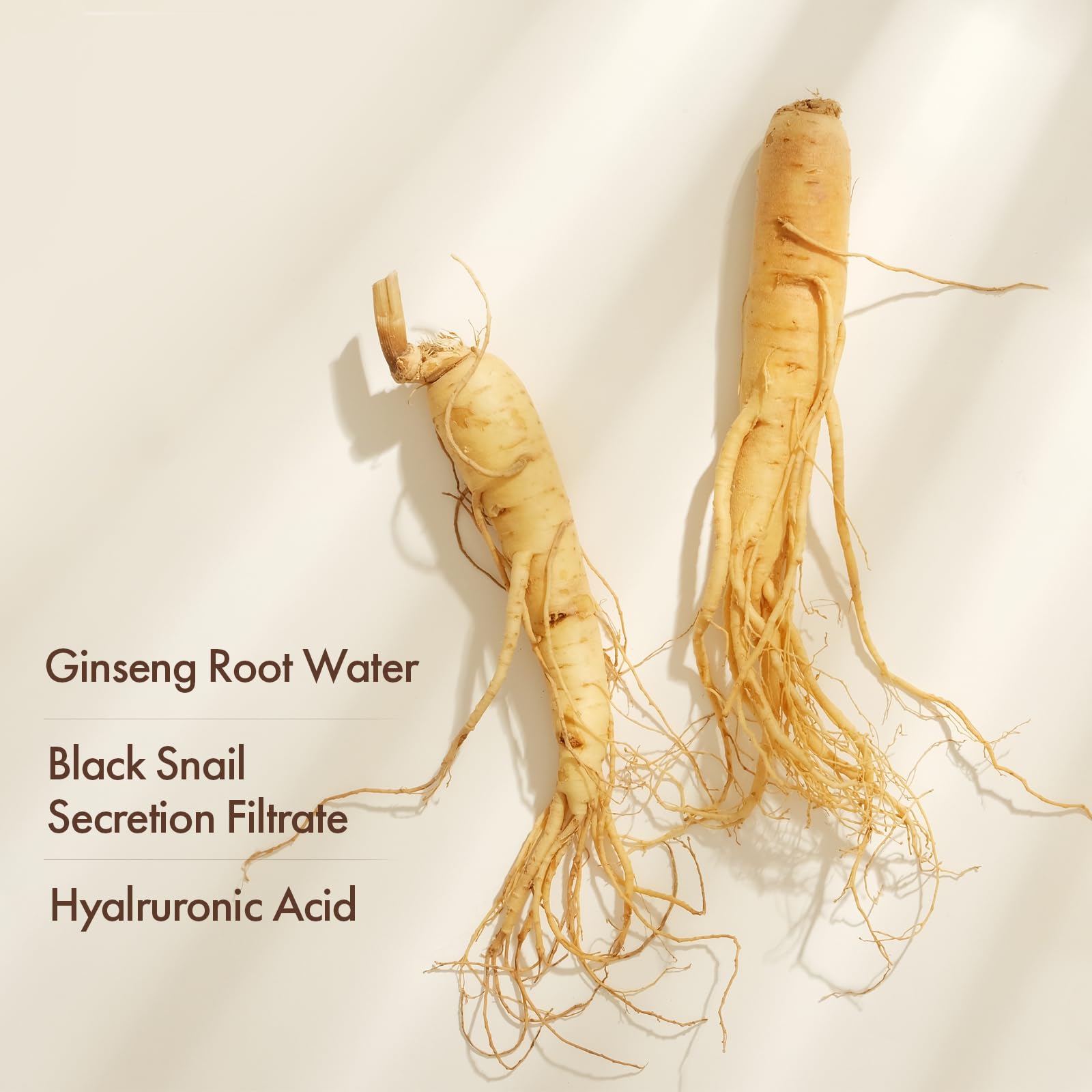 TOSOWOONG Black Snail Ginseng Serum, Ginseng 640,430ppm, Snail Mucin, Hydrating Facial Moisturizer, Self Care - Image 4