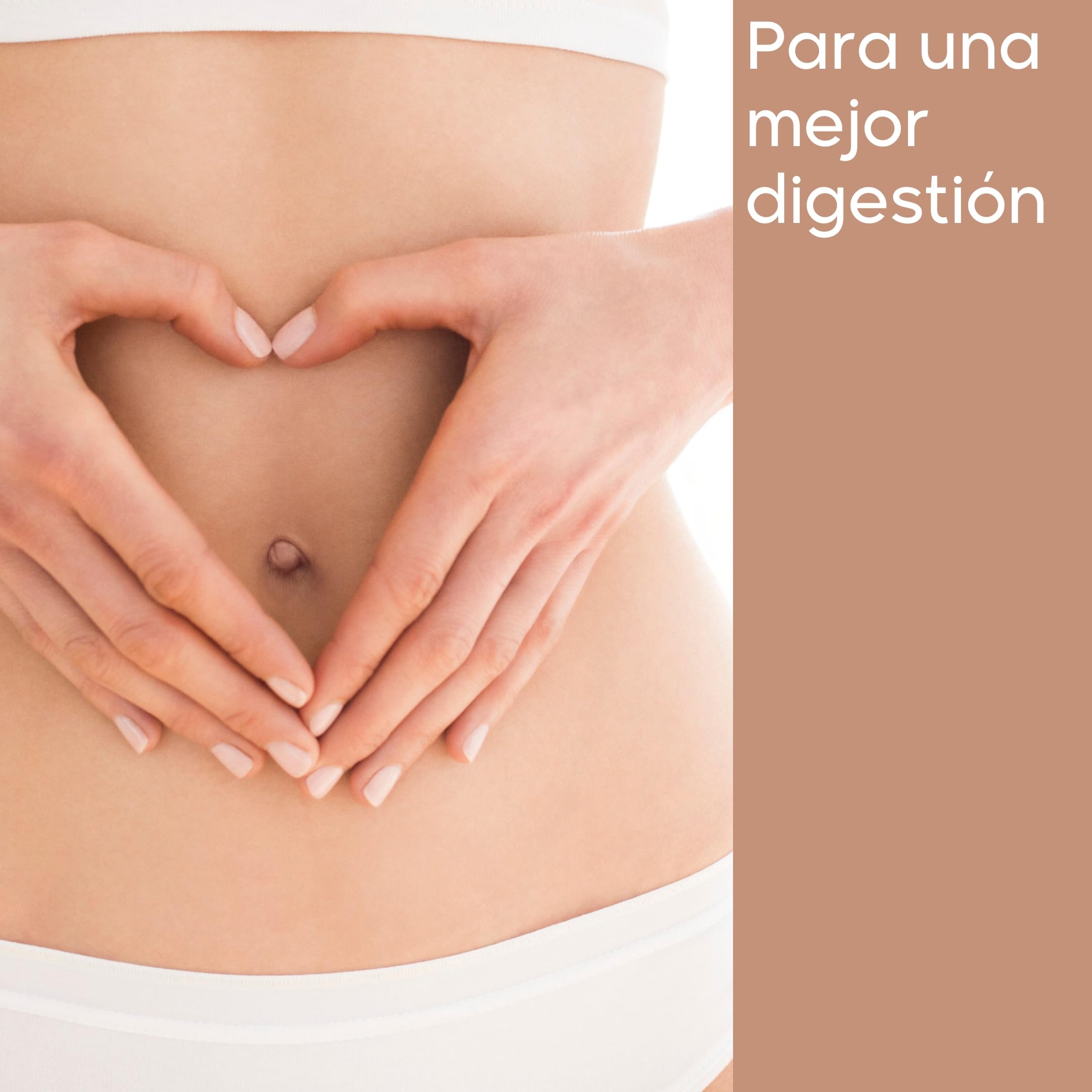 Gluten-fit Cápsulas – 90 Cápsulas | Mejor Digestión de Gluten | Con la Enzima Prolil-Oligopeptidasa| Vitamina B2 y Calcio Incluidos