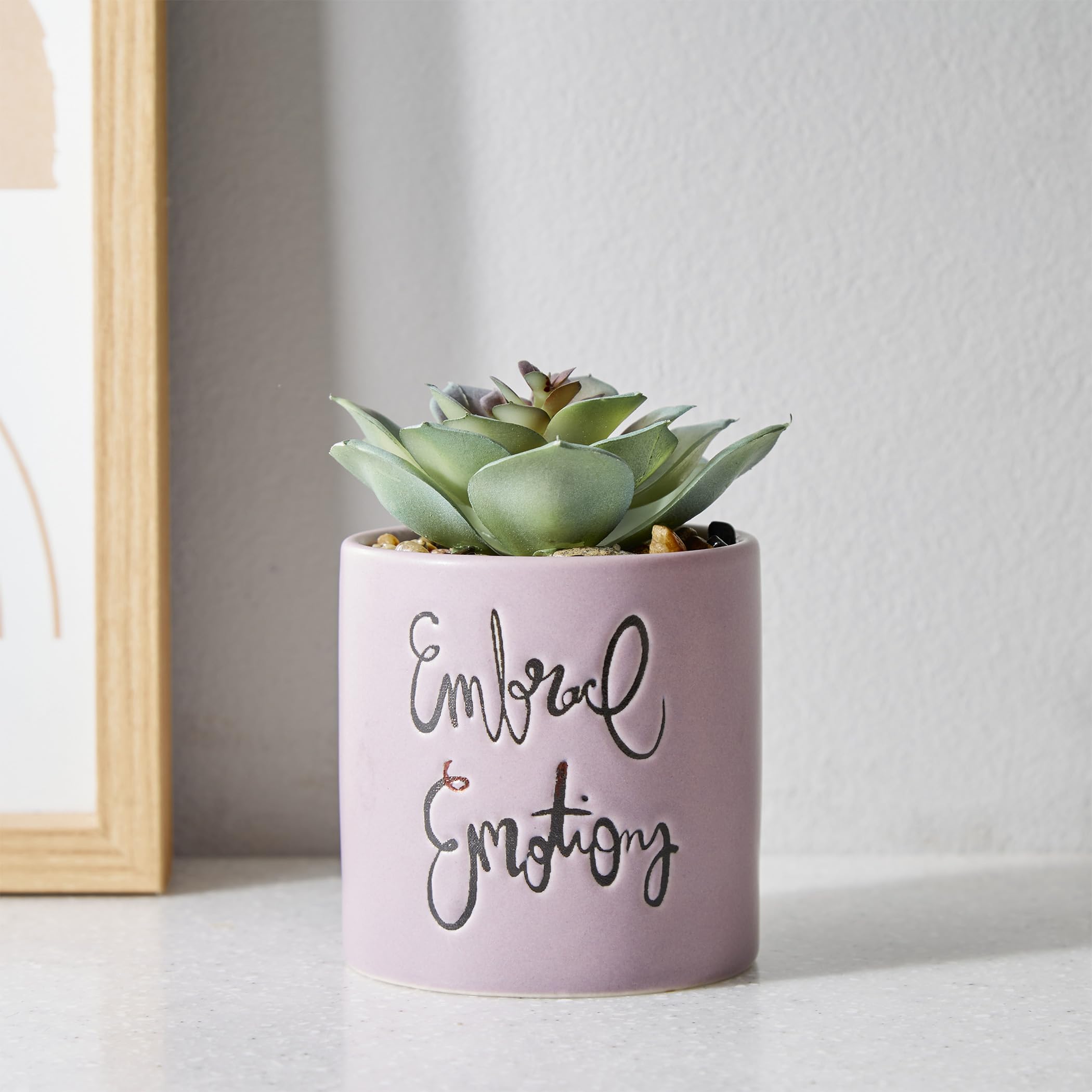 Home Centre Garnet Garden Artificial Succulent in Ceramic Planter-image-45
