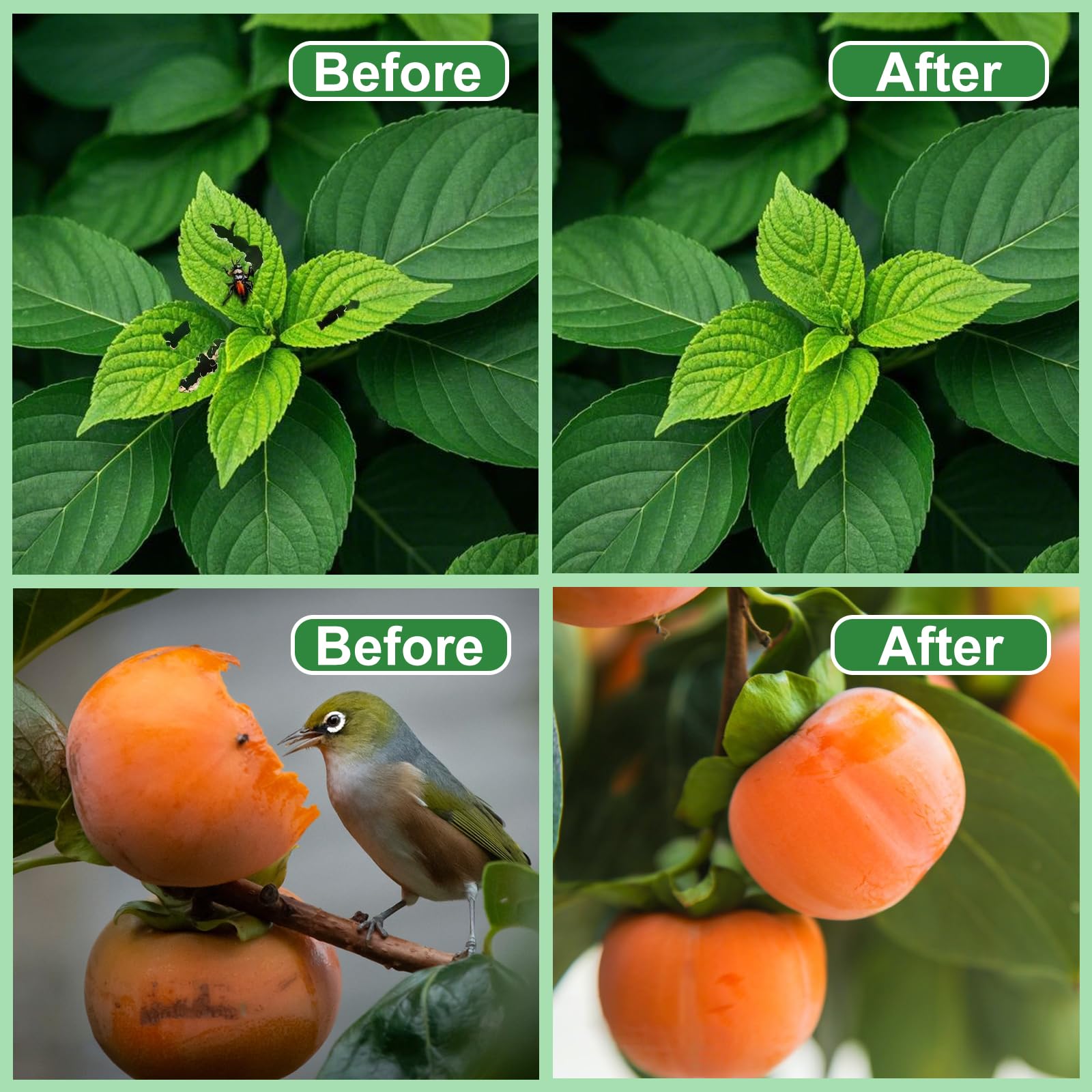 Paquete de 2 redes grandes para árboles frutales de 7.5 x 8.2 pies, cubierta de red de jardín con cremallera y cordón, red de barrera para insectos para proteger árboles frutales, arbustos, flores