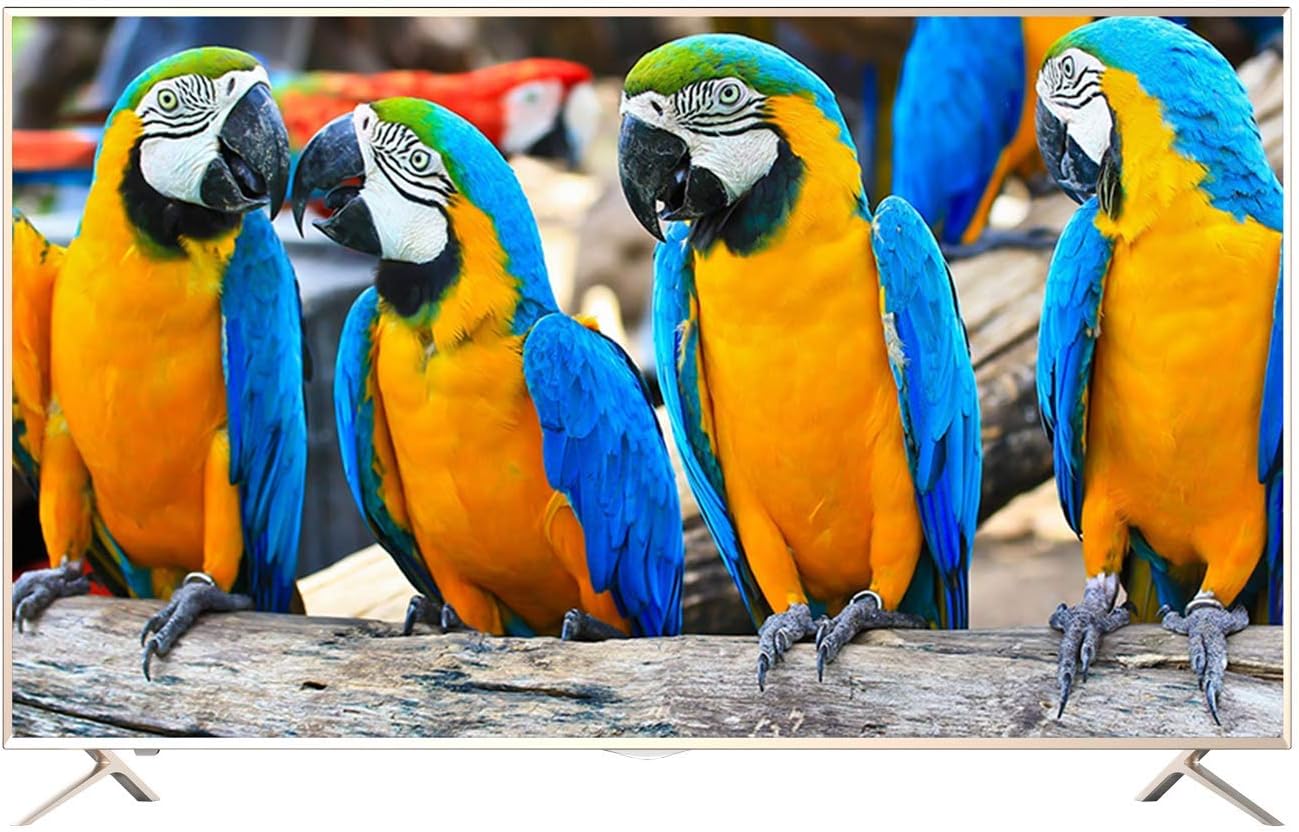 iLike 55 Inch 4K Qled Hd Ultra Slim Smart Tv - Gold, Iitq5550