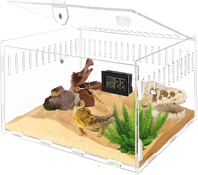 Insect Terrarium Box - 30x20x15cm Acrylic Reptile & Snail Habitat