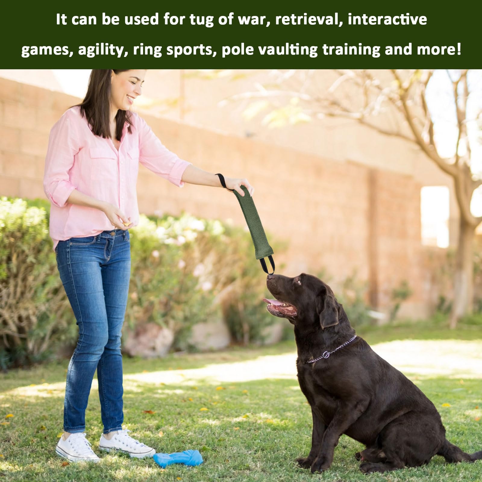 Manicotto per Cani 30 cm Giocattolo per Cani Salsiccia con 2 Maniglia per Addestramento Gioco Cuscino da Morso Interattivo (Verde)