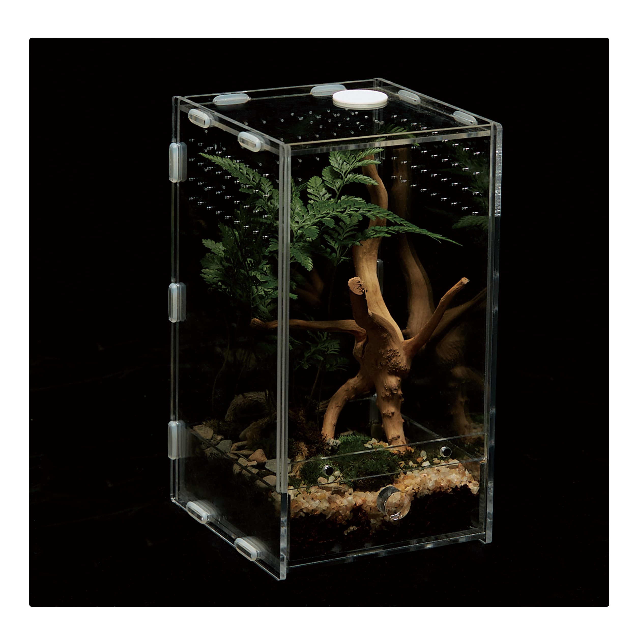 WBHONGHUI Acrylic Clear Reptile Habitat Enclosure Terrarium with Latch ，Perfect for Amphibians and Invertebrates Such as Spiders, Frogs, etc (Vertical Small Front Door)