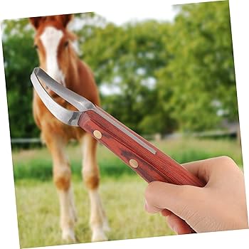 蹄鉄 オーダーページ ゴミ除去 錆除去 焼き仕上げ / 馬蹄 ホースシュー Amazon.co.jp: 蹄鉄 オーダーページ ゴミ除去 錆除去 焼き仕上げ