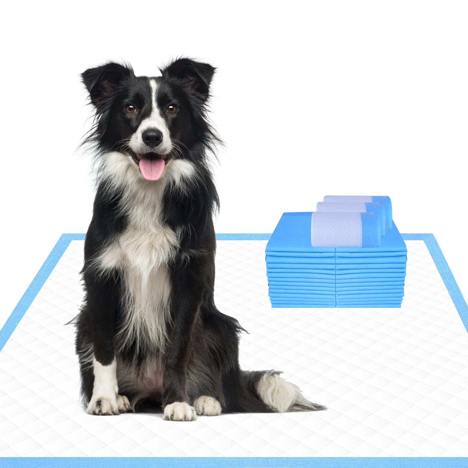 FT Count Disposable Dog Training Pads 30x36 INCH (30) (B09QSSZ9WQ) Amazon Price History, Amazon Price Tracker