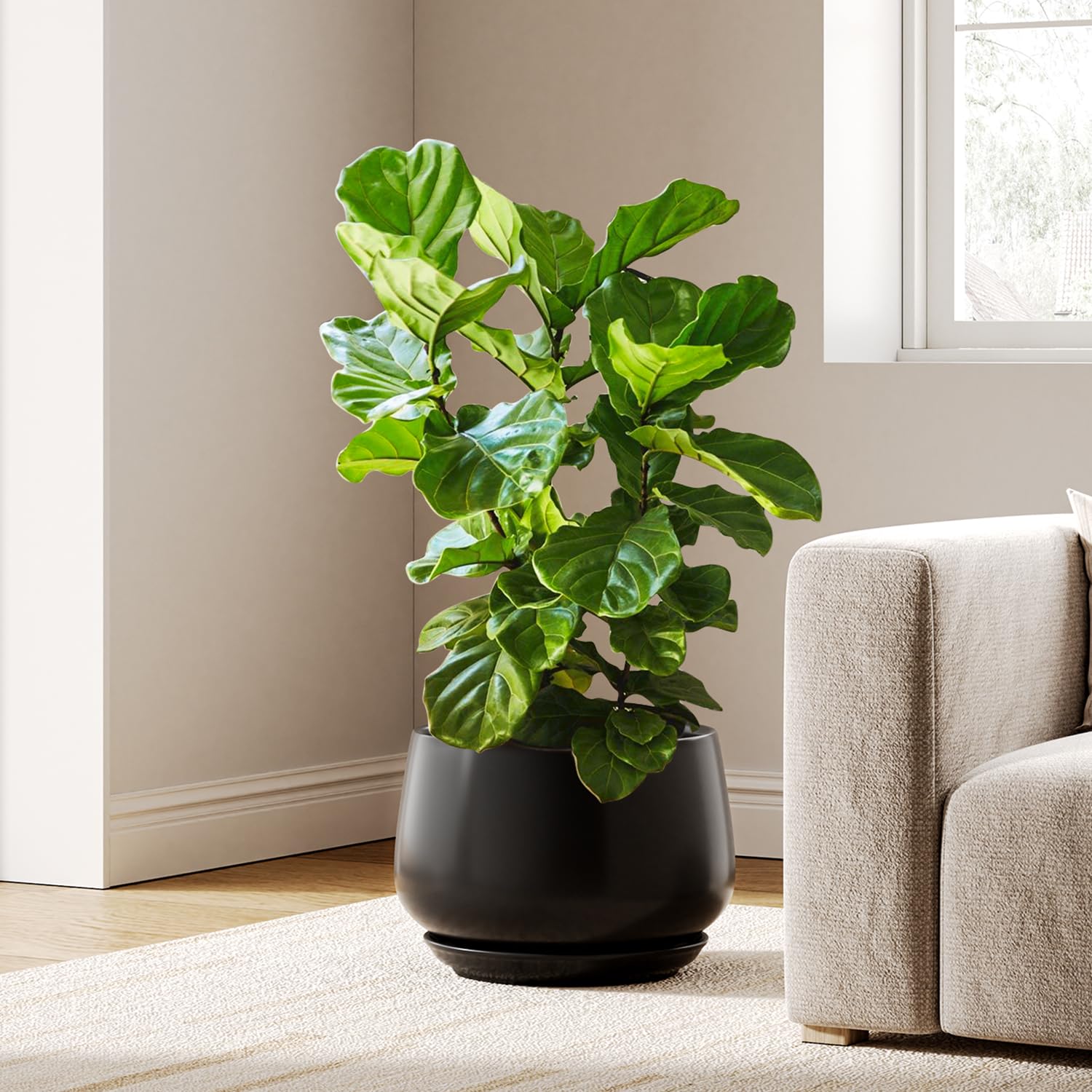 LE TAUCI 12-Inch Black Ceramic Planter