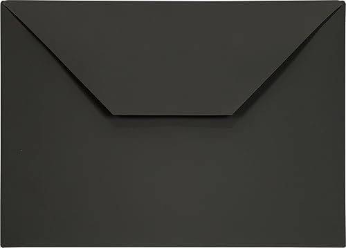 Sobres de plástico línea diseño R de Lion (22080-CR-6P), sobres de poliéster transparente (9 38 x 13 pulgadas, paquete de 6 unidades., gris carbón