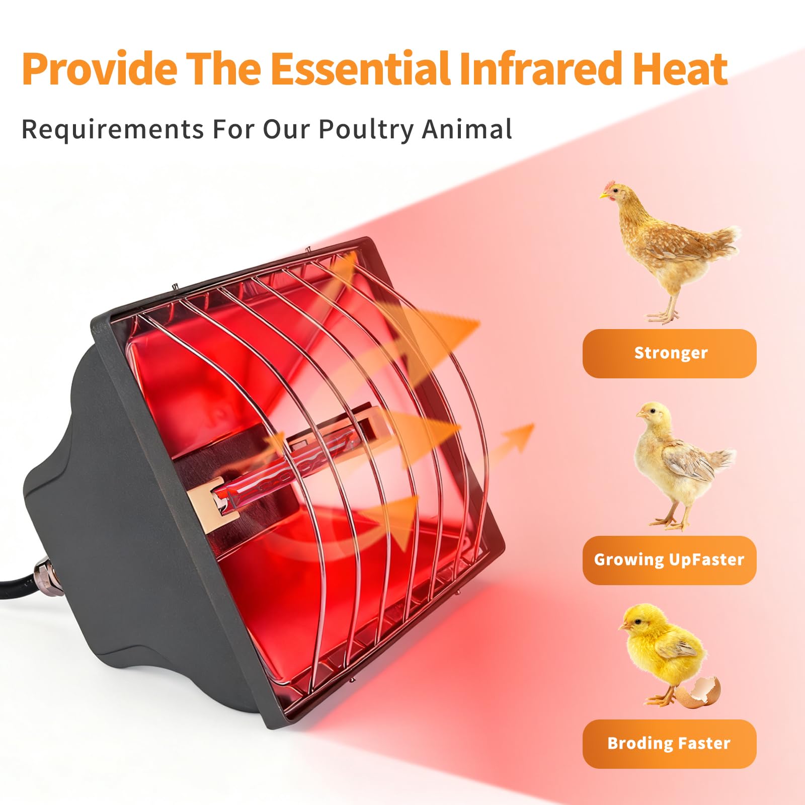 Paquete de 2 lámparas de calor de gallinero de 250 W con protector, calentador de temperatura ajustable, lámpara de calefacción infrarroja de 175 W/250 W para pollitos, patitos, aves de