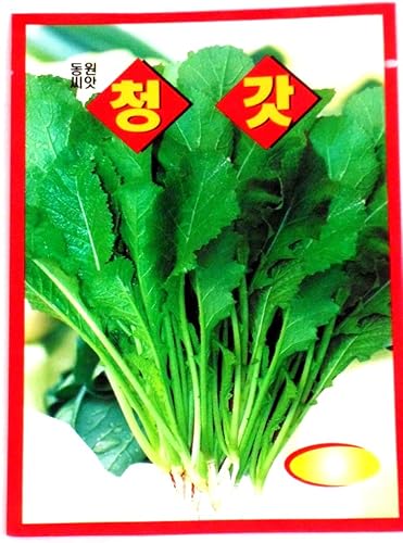 Crown Daisy Seeds - Paquete de 2 unidades