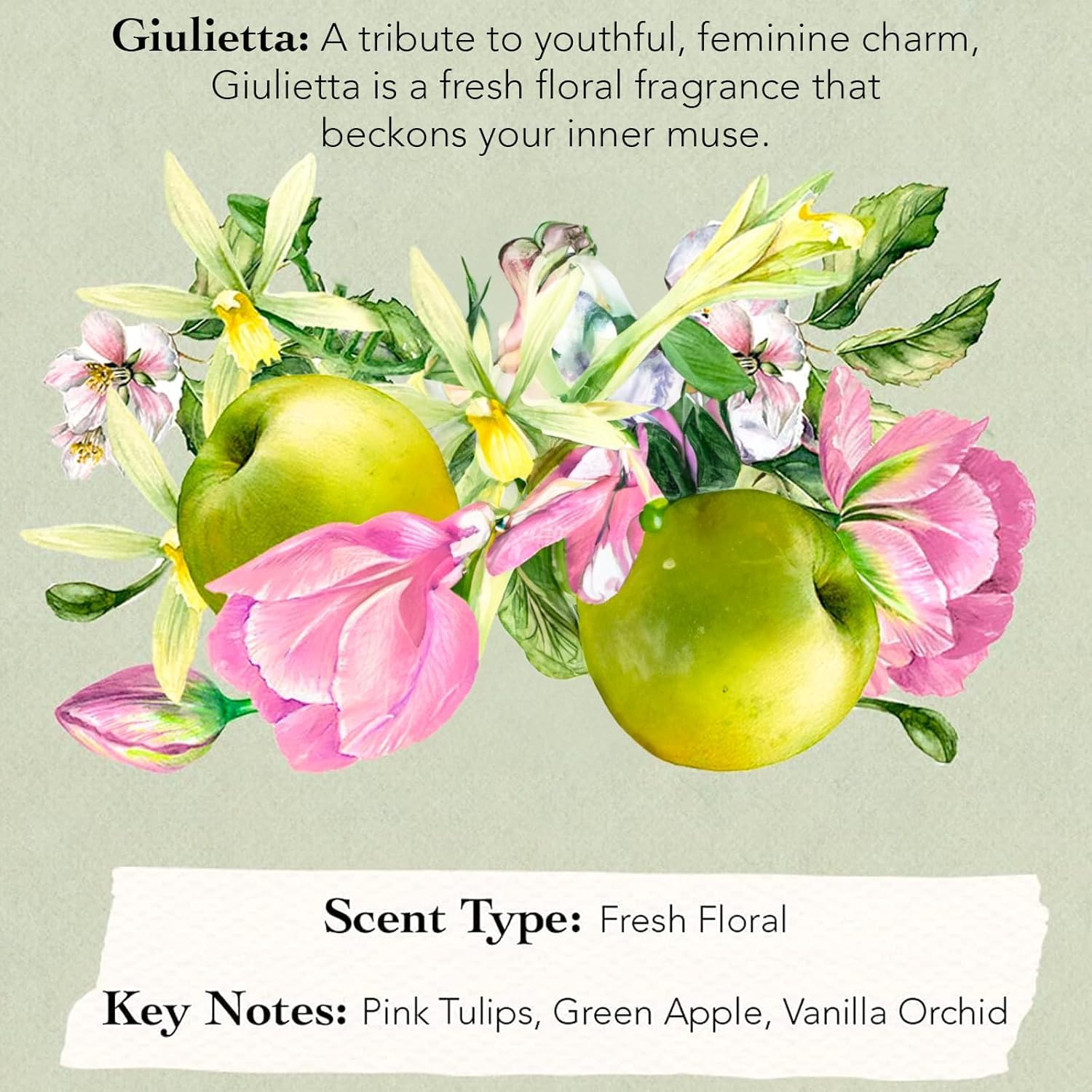 Tocca Florence Women's Perfume (50ml) + Mini Discovery Set of 8 Travel Size Perfumes - Image 5