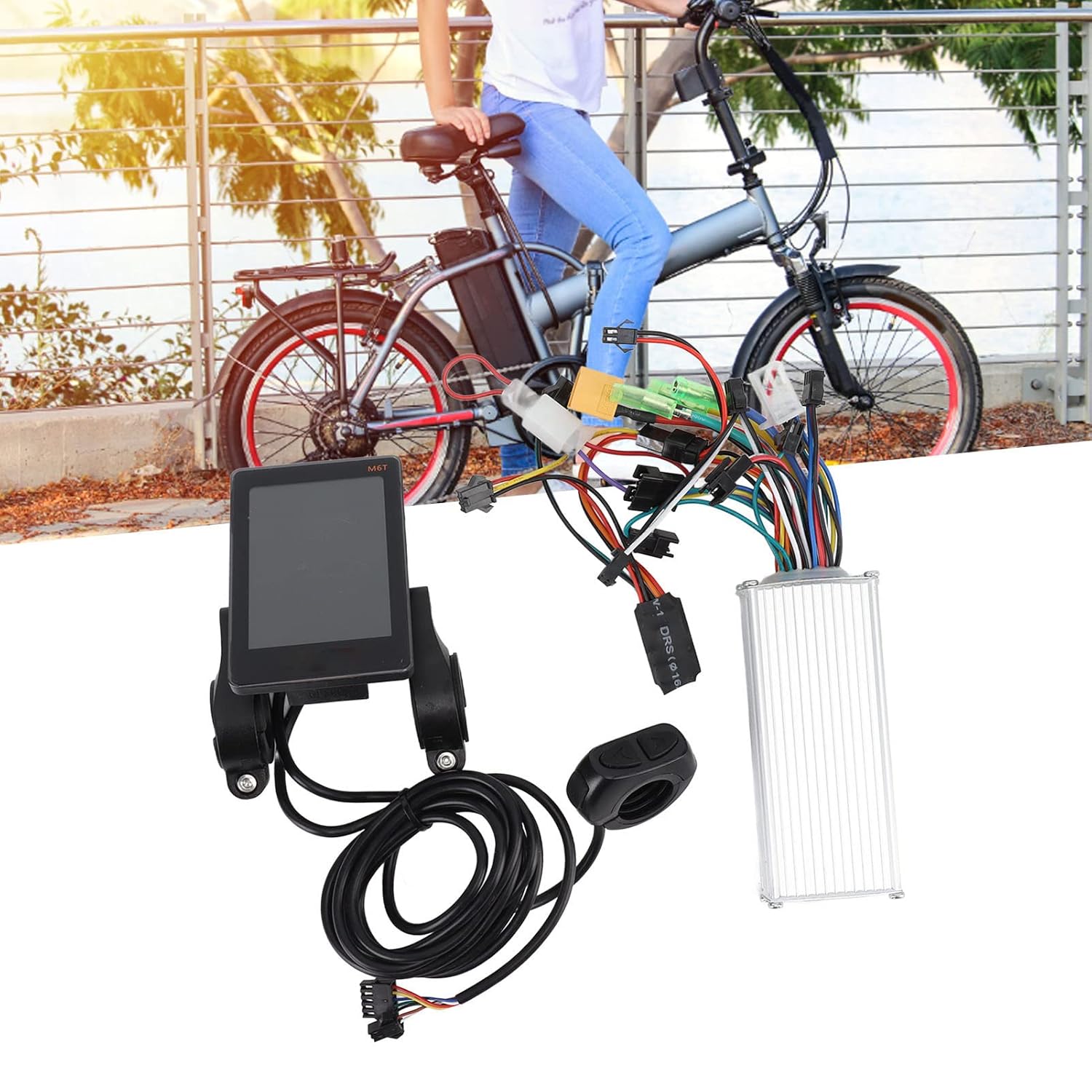 Trilly tutti Brilli SOLANGE ROSA