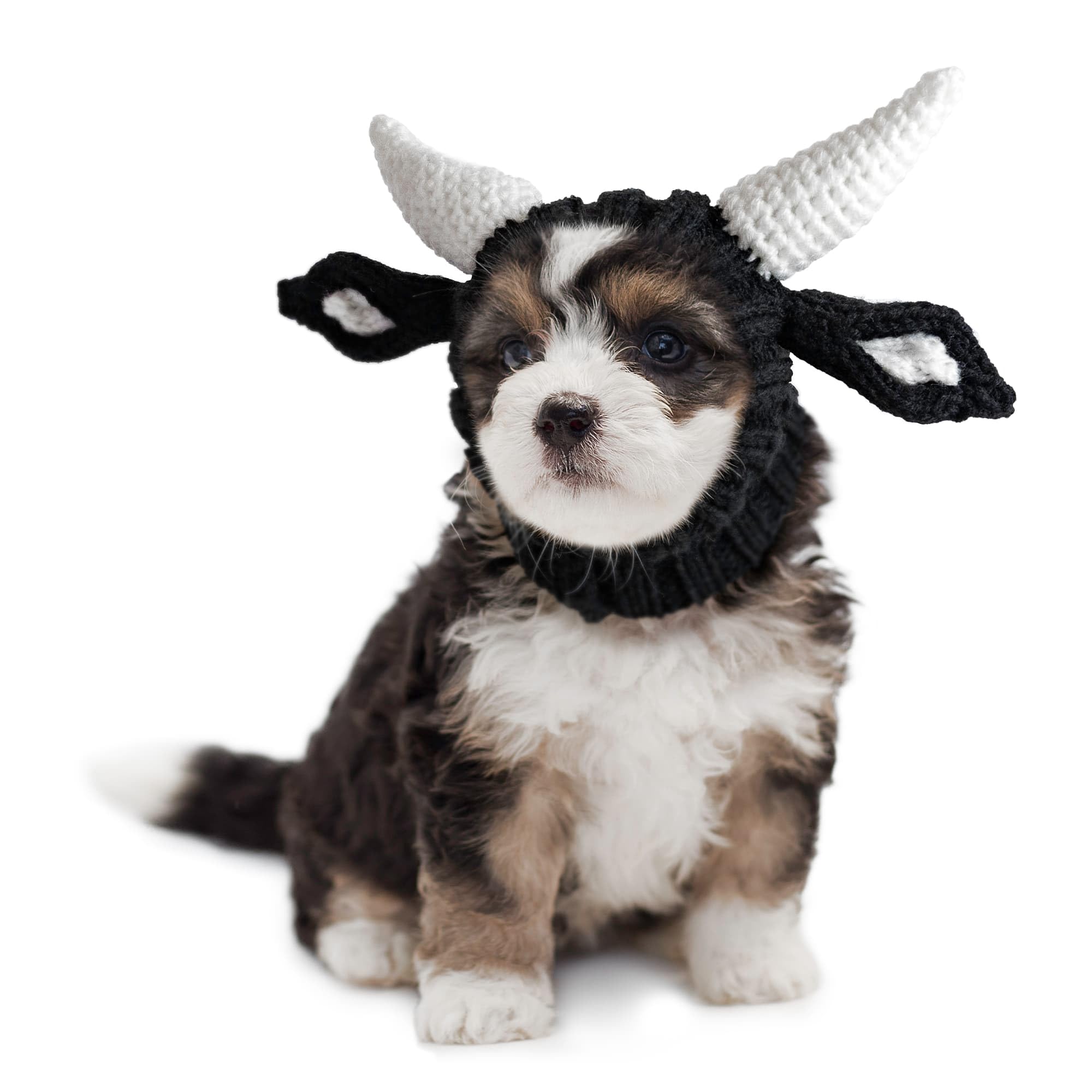 Zoo Snoods Bull Costume - Warm Knit Cow Dog Snood Wrap for Pets, Neck Ear Cover Protection for Halloween Winter (Small)