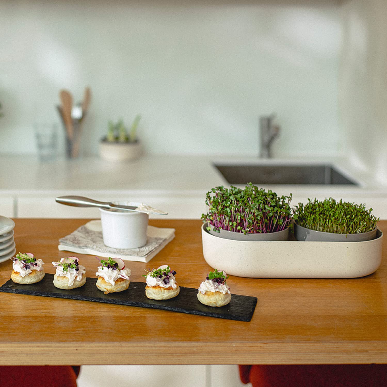 Urbalive 2-in-1 große Keimschale Set - 2X Kresse Anzuchtschale für Sprossen, Kressesamen, Microgreens - Design Kressesieb aus hochwertigem Kunststoff - Keimsprossenbox Keimgerät mit Regrow Option