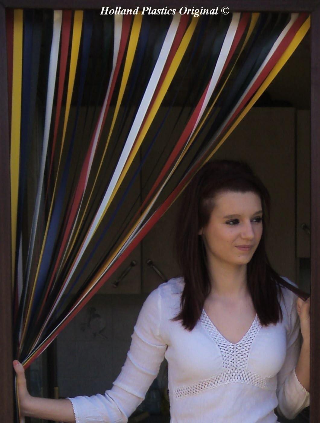 Holland Plastics Original Brand Heavy Duty Caravan/Rv Door Curtain Bug Fly Strip Blind 62Cm Wide. 'Traditional Multi'