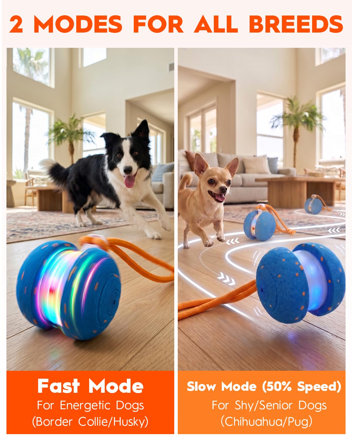 Xeuch Jouets interactifs pour chien, balle automatique irrégulière et roulante pour chien avec 2 modes de vitesse, matériau E-TPU, jouets pour animaux de compagnie activés par le mouvement avec corde