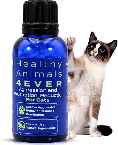 HealthyAnimals4Ever HA4E - Tabletas calmantes para gatos estresados y agresivos - Reduce la agresión del gato y promueve la relajación - Remedio
