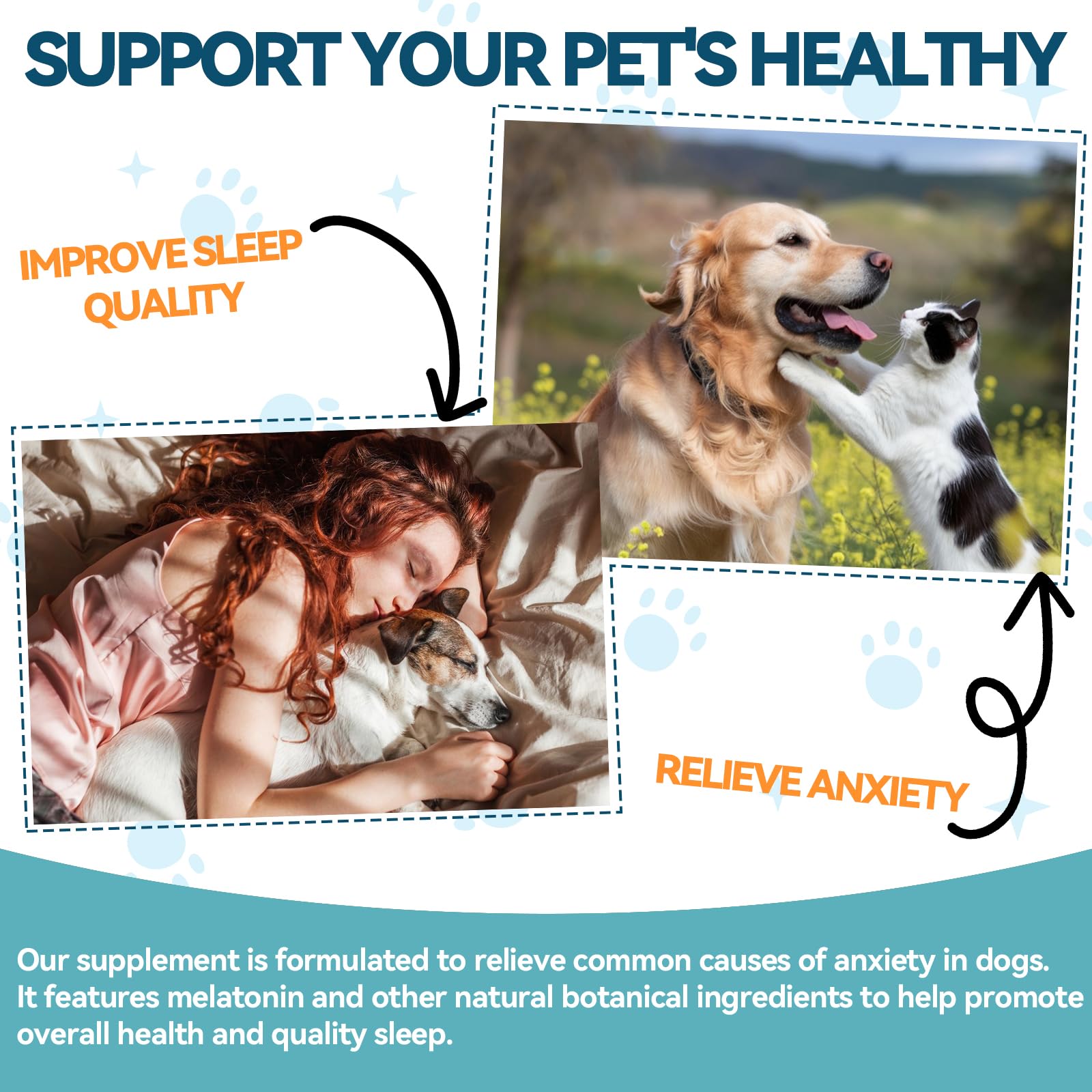 Melatonin for Pets Dog Melatonin, Dog Sleep Supports, Liquid for Cats Supports Relaxation Dogs & Cat, Calm Behavior in Dogs - Image 2