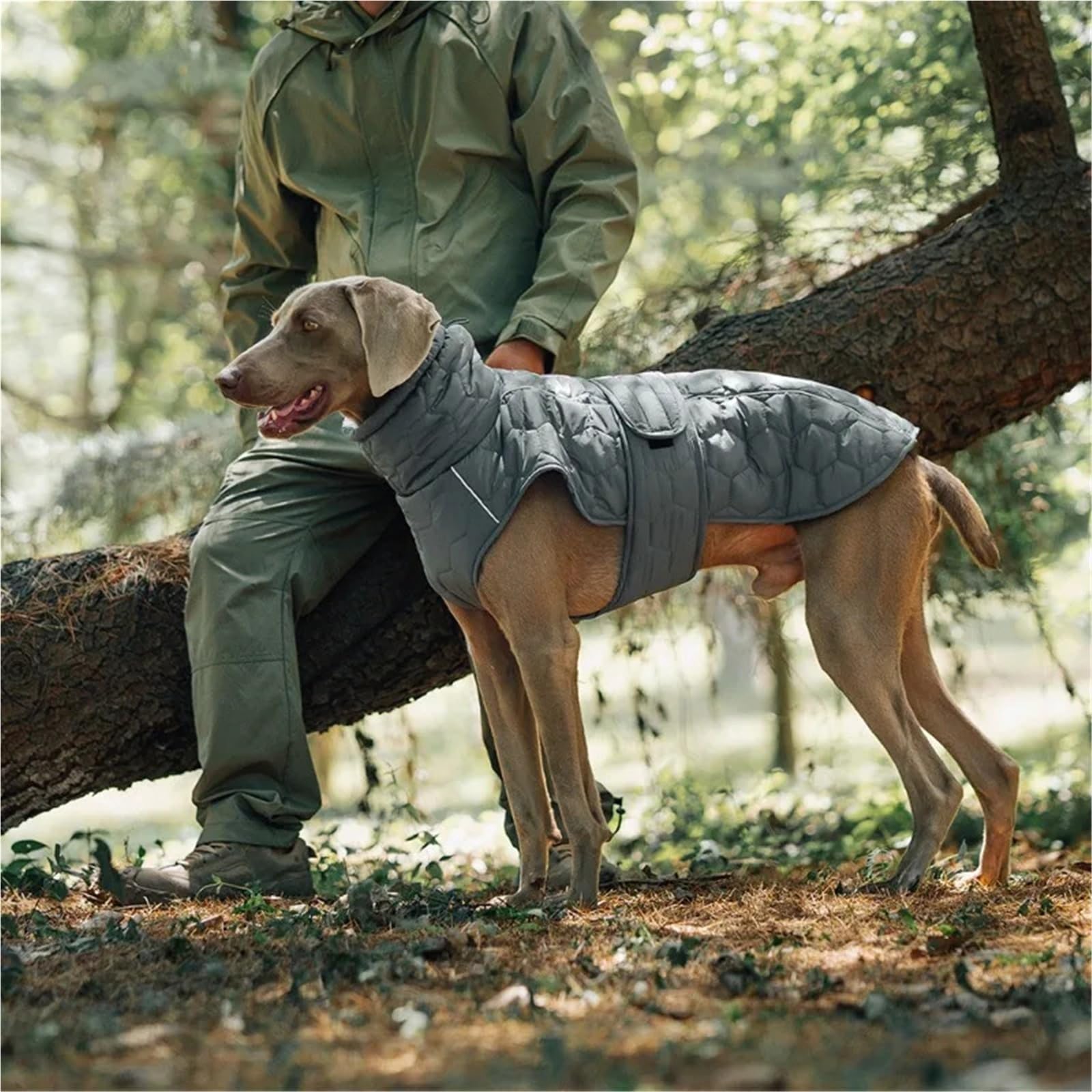Manteau réfléchissant pour chien - Veste d'hiver matelassée chaude réglable pour petits chiens, moyens et grandes tailles(Gray,XXL)