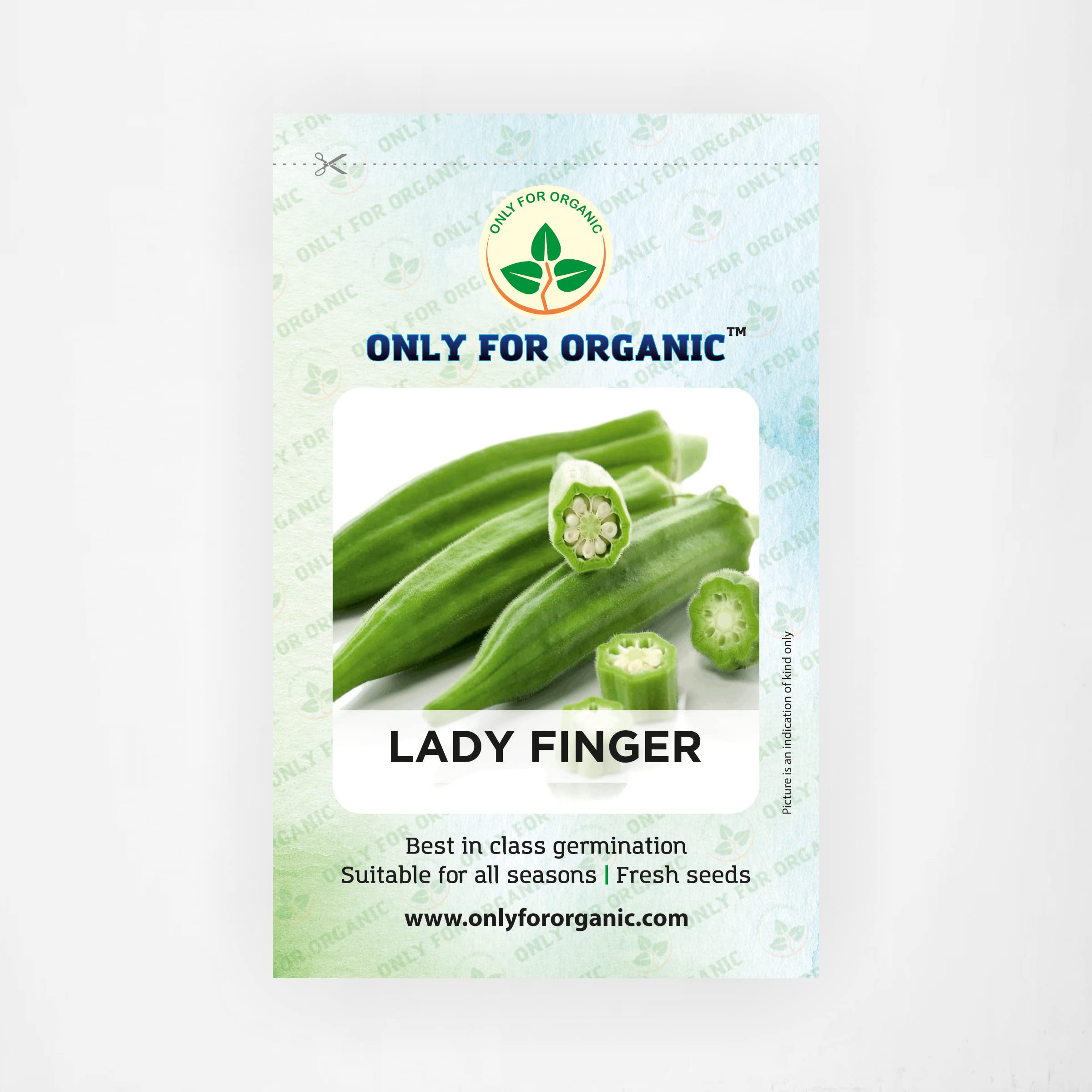 Only For Organic Lady Finger Seeds (50 Nos) (B09W2XYRH1) Amazon Price History, Amazon Price Tracker