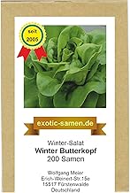 Winter-Kopfsalat - Winterbutterkopf - samenfeste Sorte - 500 Samen Grün