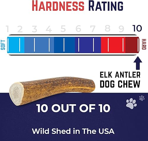 Miniatura 7 de Devil Dog Pet Co - Astas de alce masticables de primera calidad para perro, duraderas, para masticadores agresivos, no deja suciedad ni olor, de