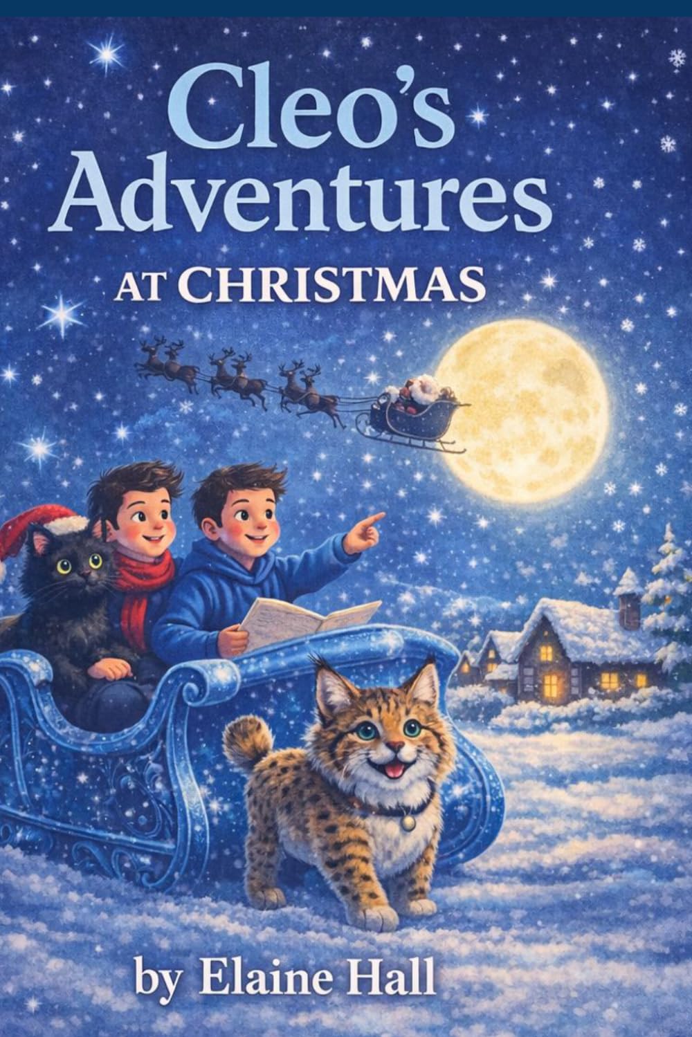 Cleo's Adventures: At Christmas