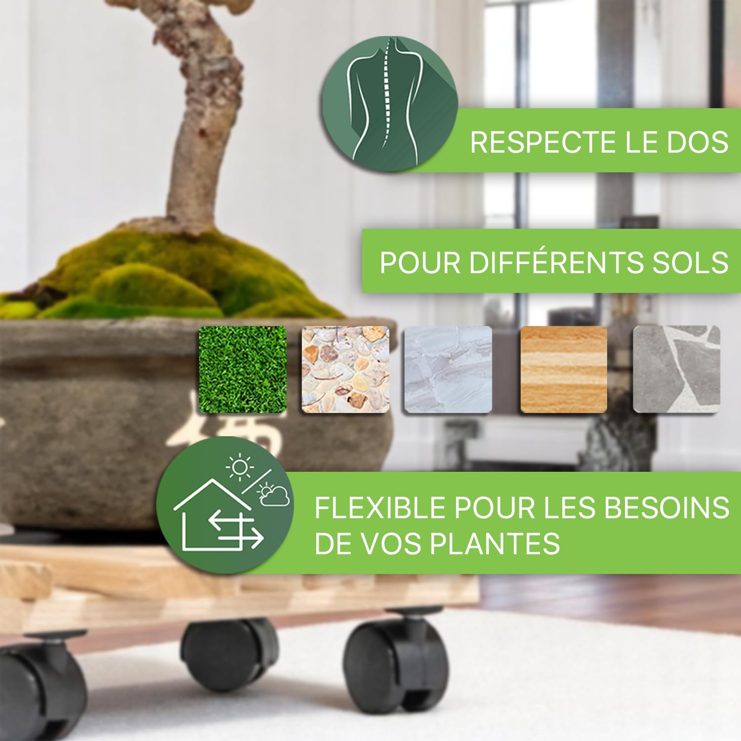 ITA Ensemble de 5 Supports Roulants pour Plantes Carrés 30x30 cm en Bois de Hêtre - Capacité de Charge 120 kg - Intérieur et Extérieur - Fabriqué en UE