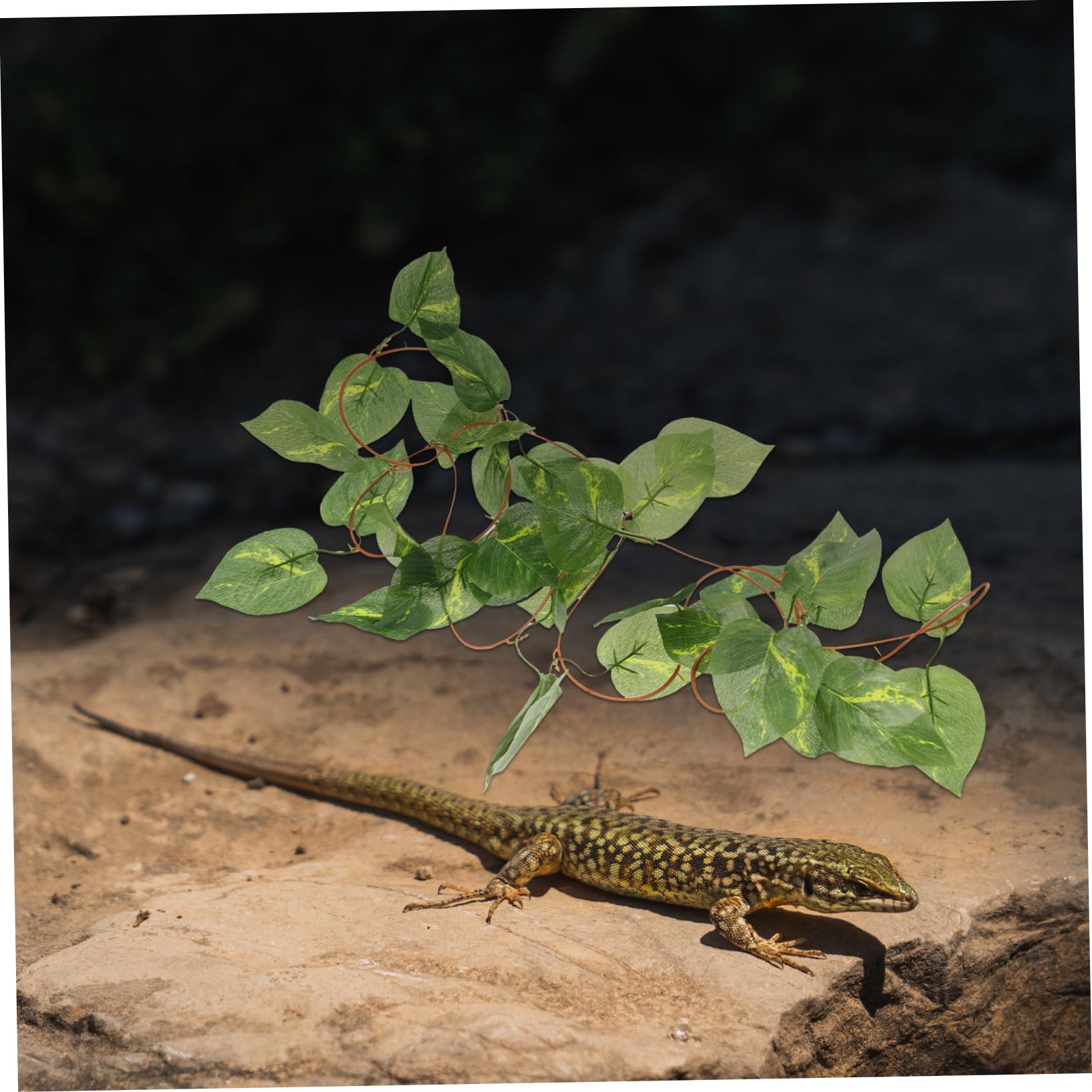 Toyvian 2 Sätze Dekorative Terrarienpflanzen Aus Kletterpflanzen Für Reptilien Und Aquarien Langlebig Und Sicher Für Eidechsen Geckos Und Schlangen Dekoration Für Terrarien 3 Stück * 2