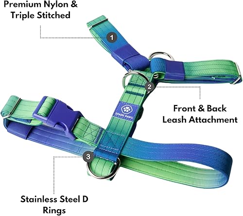 Miniatura 3 de Spark Paws Arnés para perro sin tirones - Diseñado para la seguridad y el control - Lime Wave - S