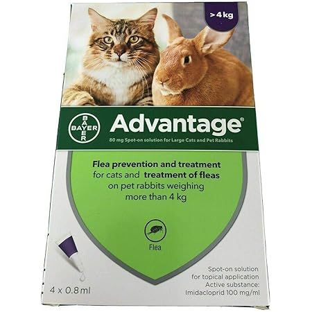 Advantage Spot On Flea Treatment 80 Large Cat and Rabbit >4kg (4 ...