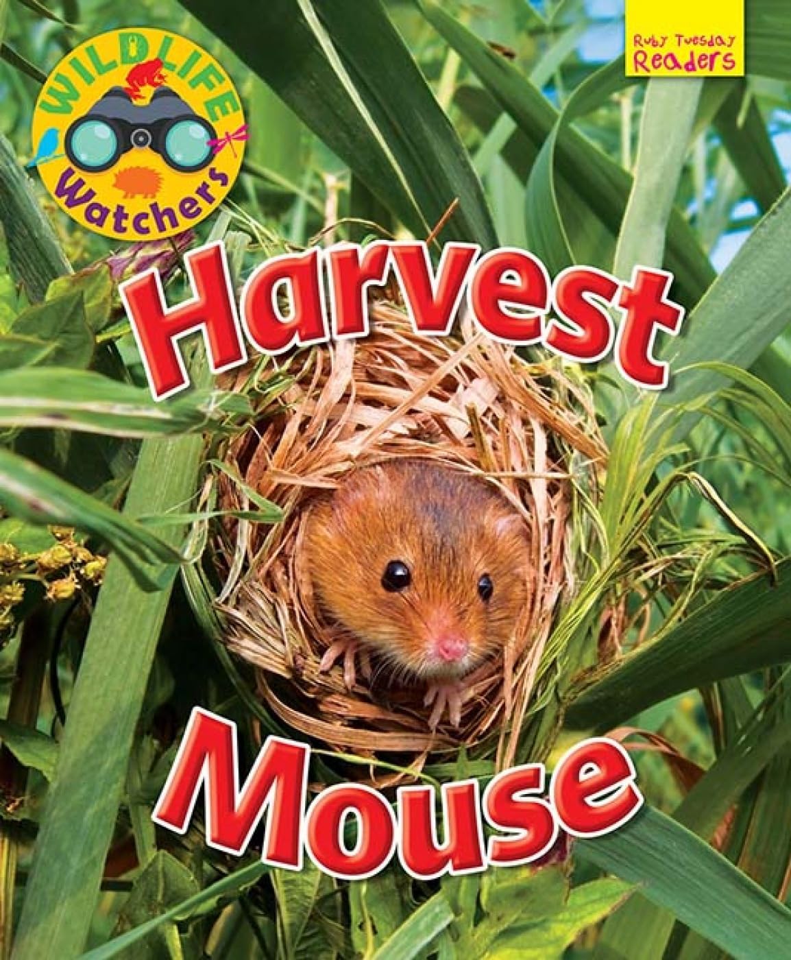 Wildlife Watchers: Harvest Mouse (Ruby Tuesday Readers)