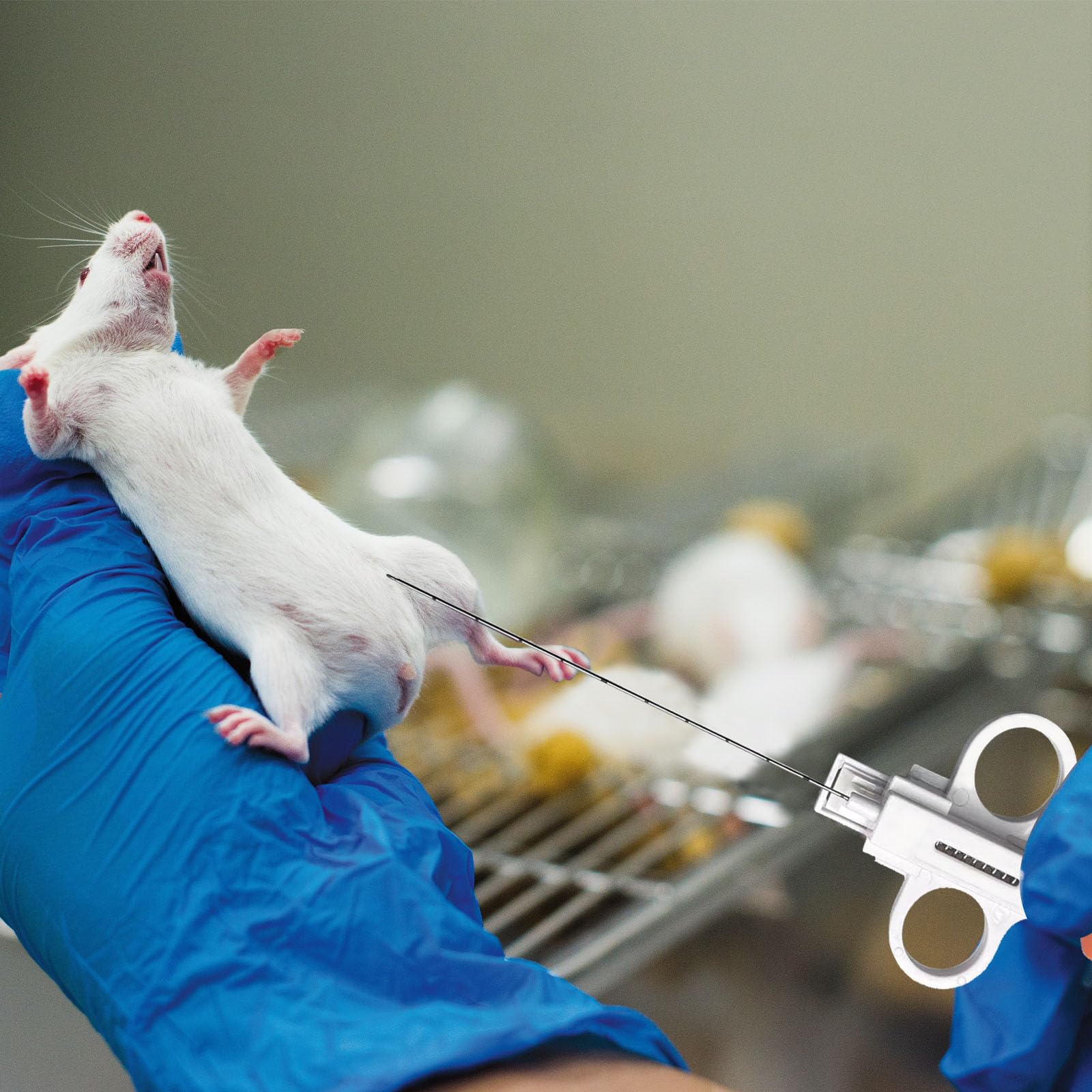 2 aghi per biopsia per la salute degli animali, aghi per campionamento veterinario usa e getta, progettati per animali domestici, animali da allevamento e animali selvatici, provato strumento