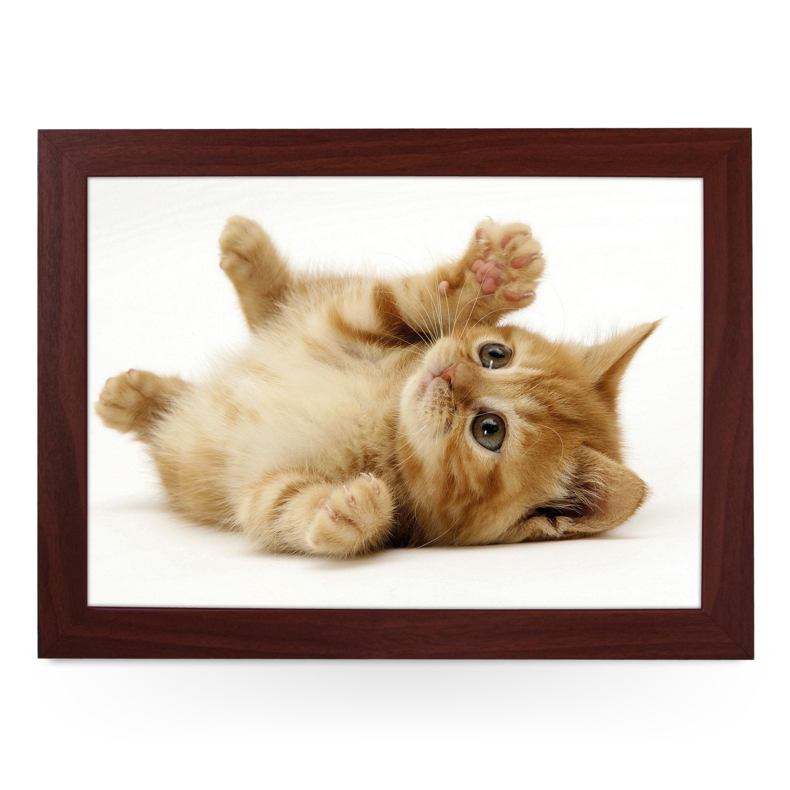 Portable Lap Desk Tray (Playful Kitten) Handmade Wooden Frame, Beanbag Cushioned Bottom | Computers, Laptops, Meals, Food | L0125 Brown