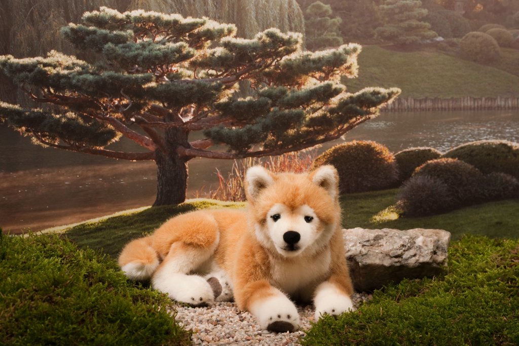 Amazon.co.jp: KOSEN（ケーセン社）柴犬 伏せ : Toys & Games