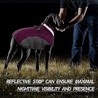 Vista 5 de FUAMEY - Abrigo para perro, chaqueta cálida de invierno, acolchada, chaleco reflectante con arnés, chaqueta de nieve impermeable con cremallera, a