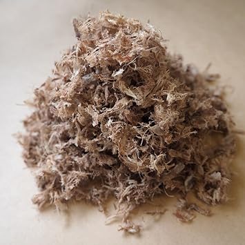 Amazon 鹿の匠丹波 新 鹿するめ 80ｇ 犬用 猫用 ｄ 26 鹿肉と骨100 Egサイクル ドライ 通販