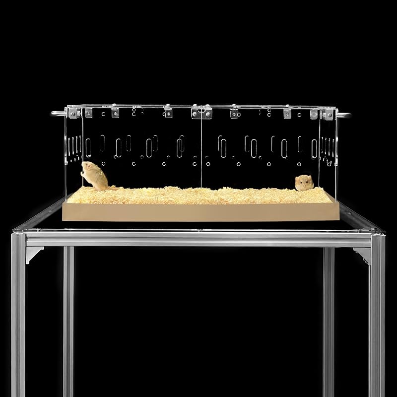Acrylic Cage (Model-P3) - Small 2x1' Enclosure w/Lid & Bottom | Ideal for Hamsters, Rats, Mice, Gerbils, or a Guinea Pig; Works as a Compact Cage or Transport Carrier